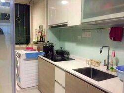 Simei Green Condominium (D18), Condominium #558035411